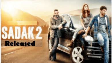 Sadak 2 released