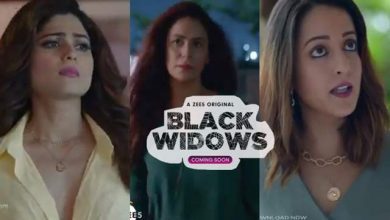 Black Widows Web Series
