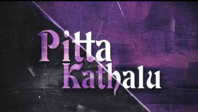 Pitta Kathalu